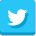 twitter-icon